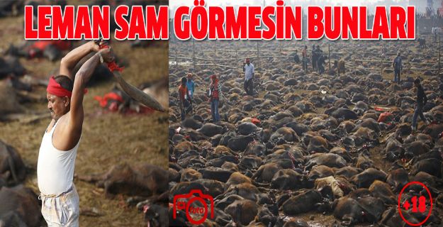 Leman Sam sakın görmesin bunları