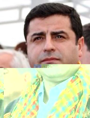 Selahattin Demirtaş: CHP ve MHP  turist olarak gelmişler