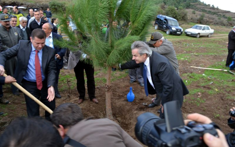 Kuzey Biga Madencilik fidan dikti 