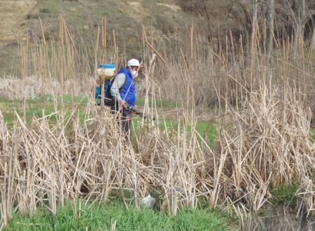 Malkara Belediyesi, Sinek ve Sivrisinek Yataklarını İlaçlıyor