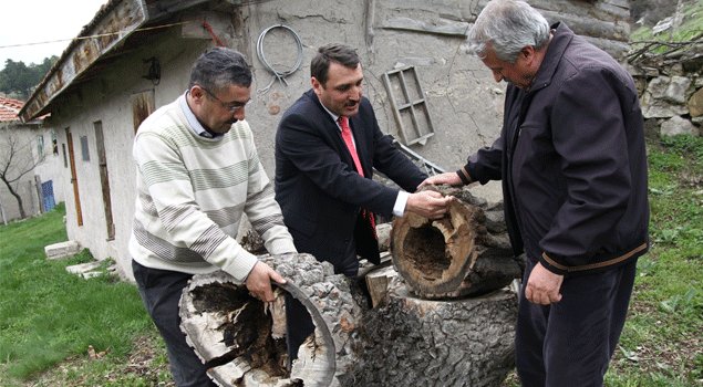 Orman Balı Hasatı Başladı