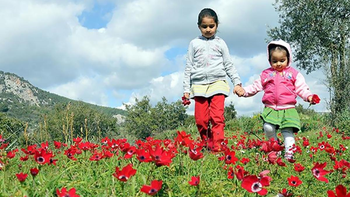 SON CEMRE TOPRAĞA DÜŞTÜ HAVA SICAKLIKLARI ARTTI