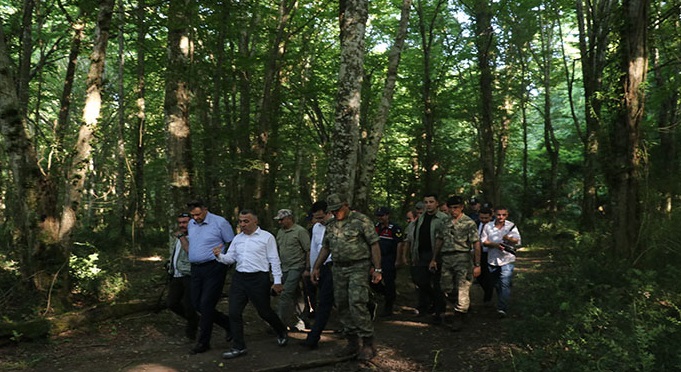 İğneada Longoz Ormanları'na kuş gözlem kulesi yapılacak