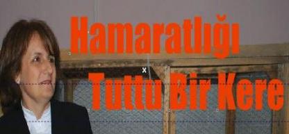 Hamaratlığı tuttu bi kere