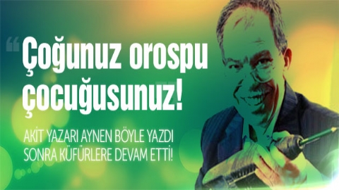 Akit yazarı kendini aştı: Çoğunuz orospu çocuğusunuz!