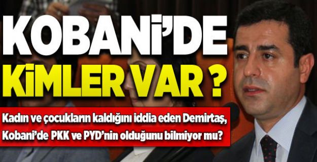 Kobani'de kimler kaldı?