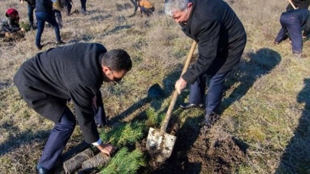 Edirne'ye 400 Bin Fidan Daha