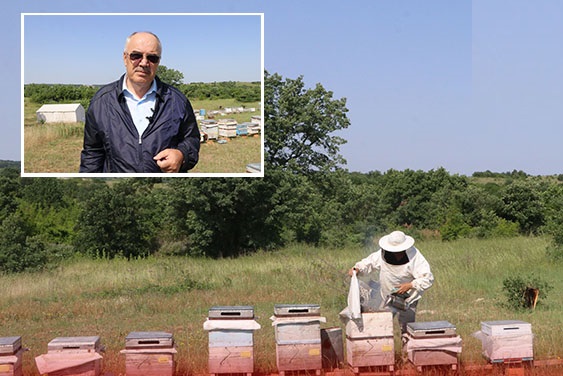 Edirne'de orman vasfını kaybetmiş araziye kurulan 