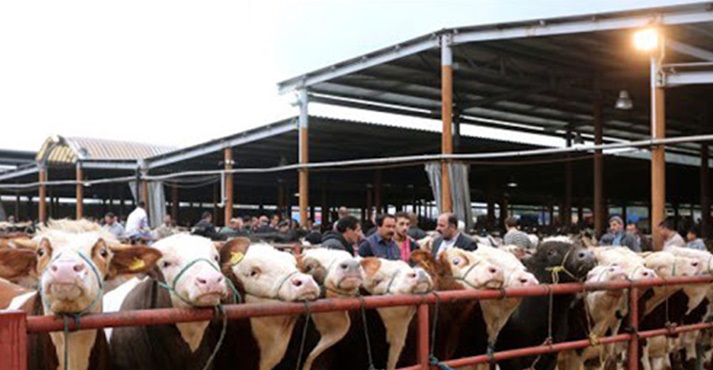 Trakya'nın en büyük hayvan pazarı Kovid-19 tedbirleri kapsamında kapatıldı