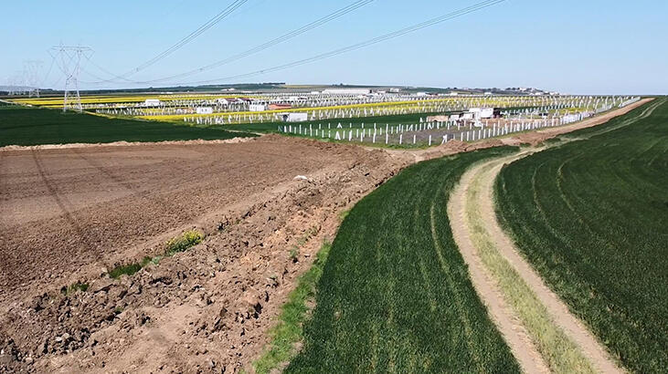 Tekirdağ'a kaçak gelenler araçlarıyla geçtikleri tarlalara zarar verdi