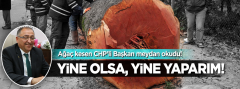 Ağaç kesen CHP'li Başkan: Yine olsa, yine yaparım!