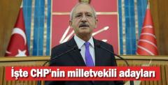 İşte CHP'nin milletvekili adayları