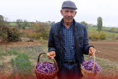 Hobi olarak üretimine başladığı safran soğanı talebine yetişemiyor