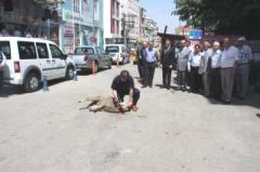 Belediye Yeni Aldığı 3 Araç İçin Kurban Kesti