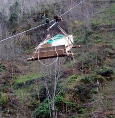 Trabzon'da ilginç olay!