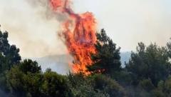 Çanakkale'de Orman Yangını