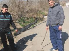 Edirne'de Karaağaç Mahallesini Fareler Bastı 