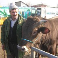 Hayvan besicilerinden protesto gösterisi