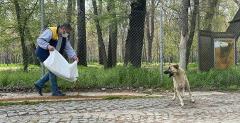 Edirne'de salgın sürecinde sokağa terk edilen hayvan sayısı artıyor