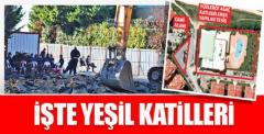 İşte yeşil katilleri