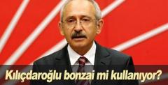 Kılıçdaroğlu bonzai mi kullanıyor?